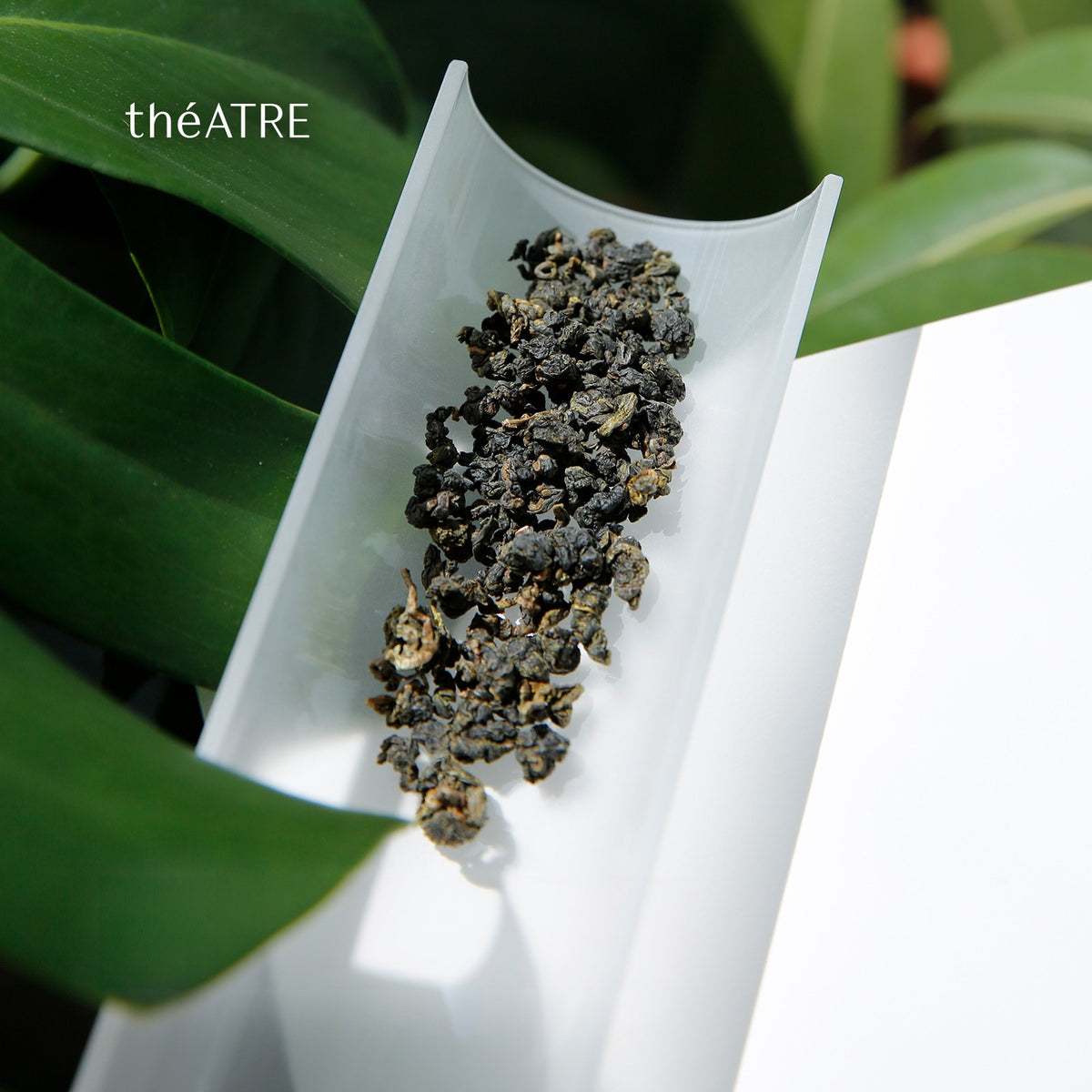 Chin Shin Oolong Tea Bags